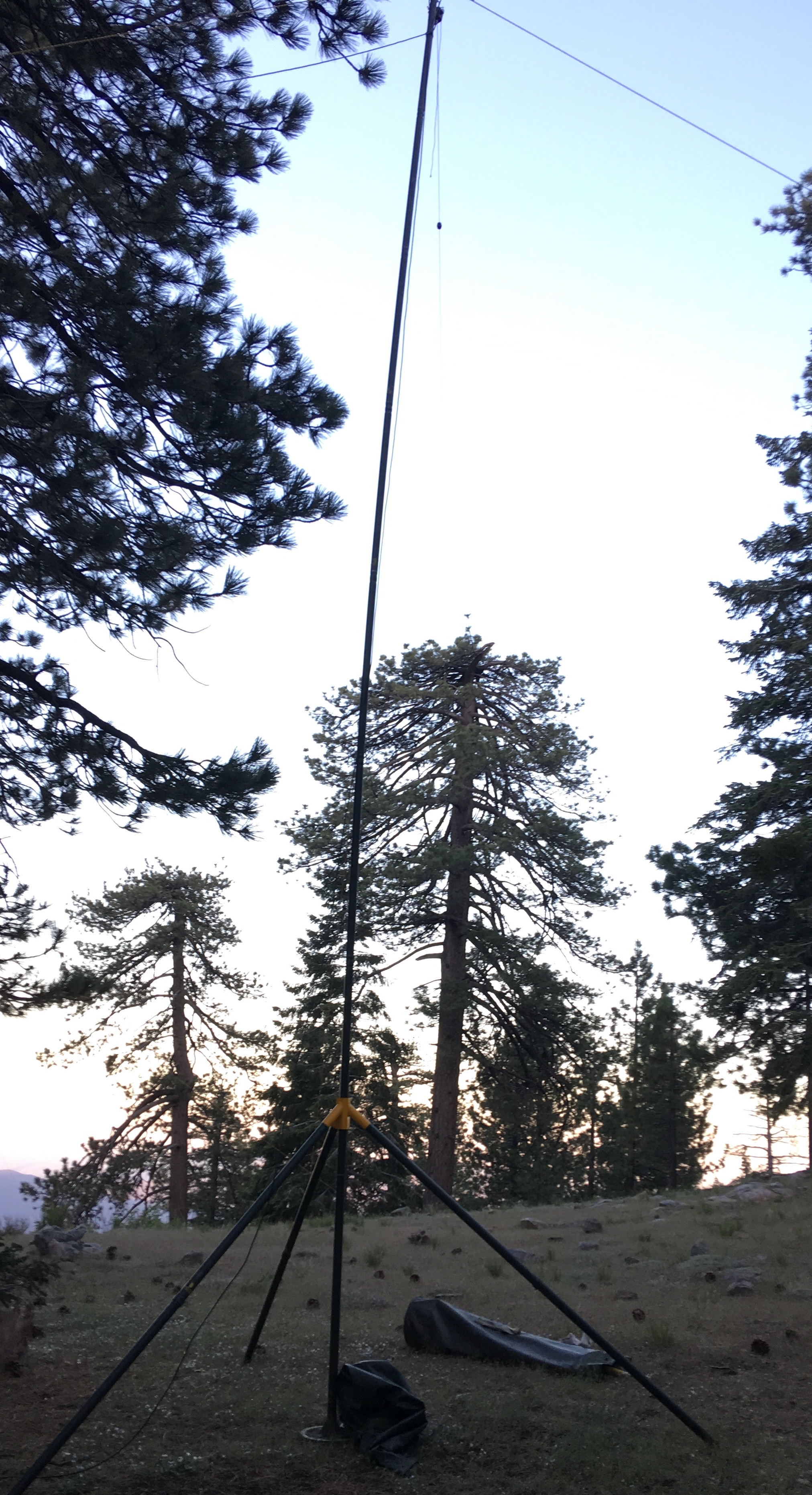 We erected two mast systems which supported multiple antennas.