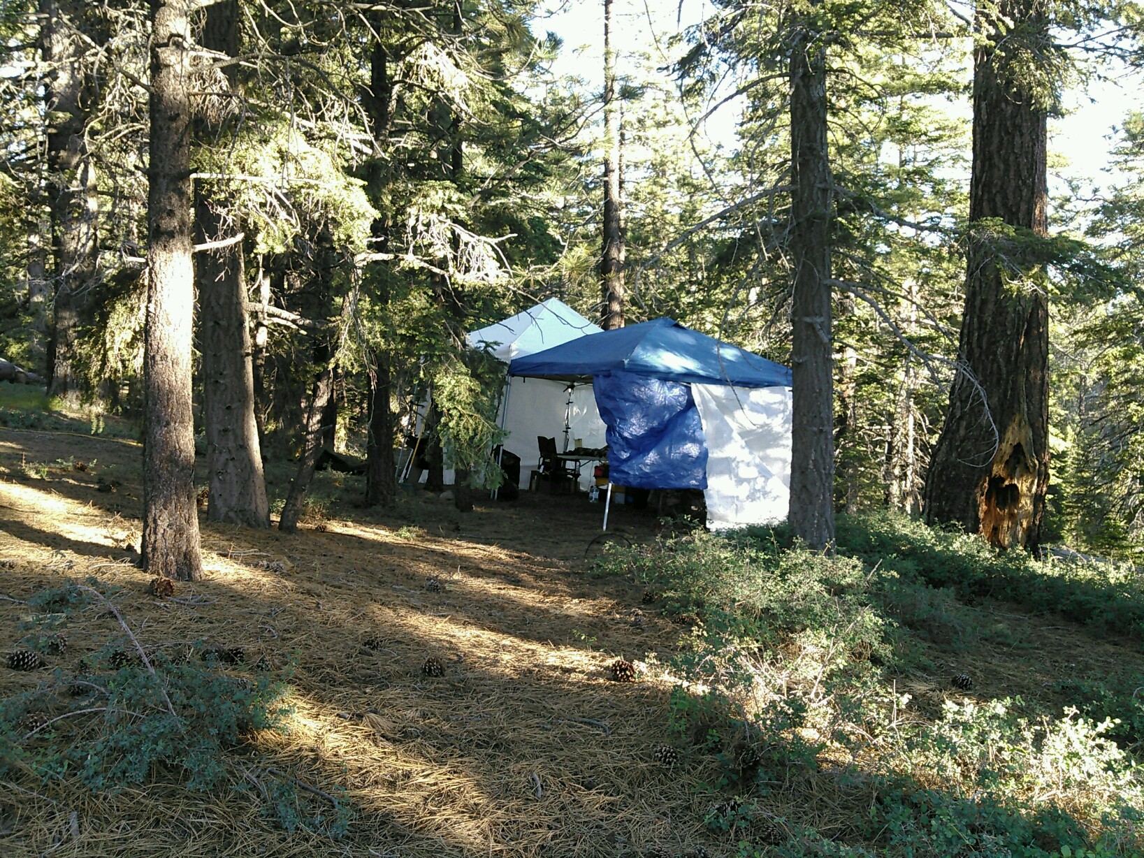 PART_1561660076421_KIMG0252.jpg