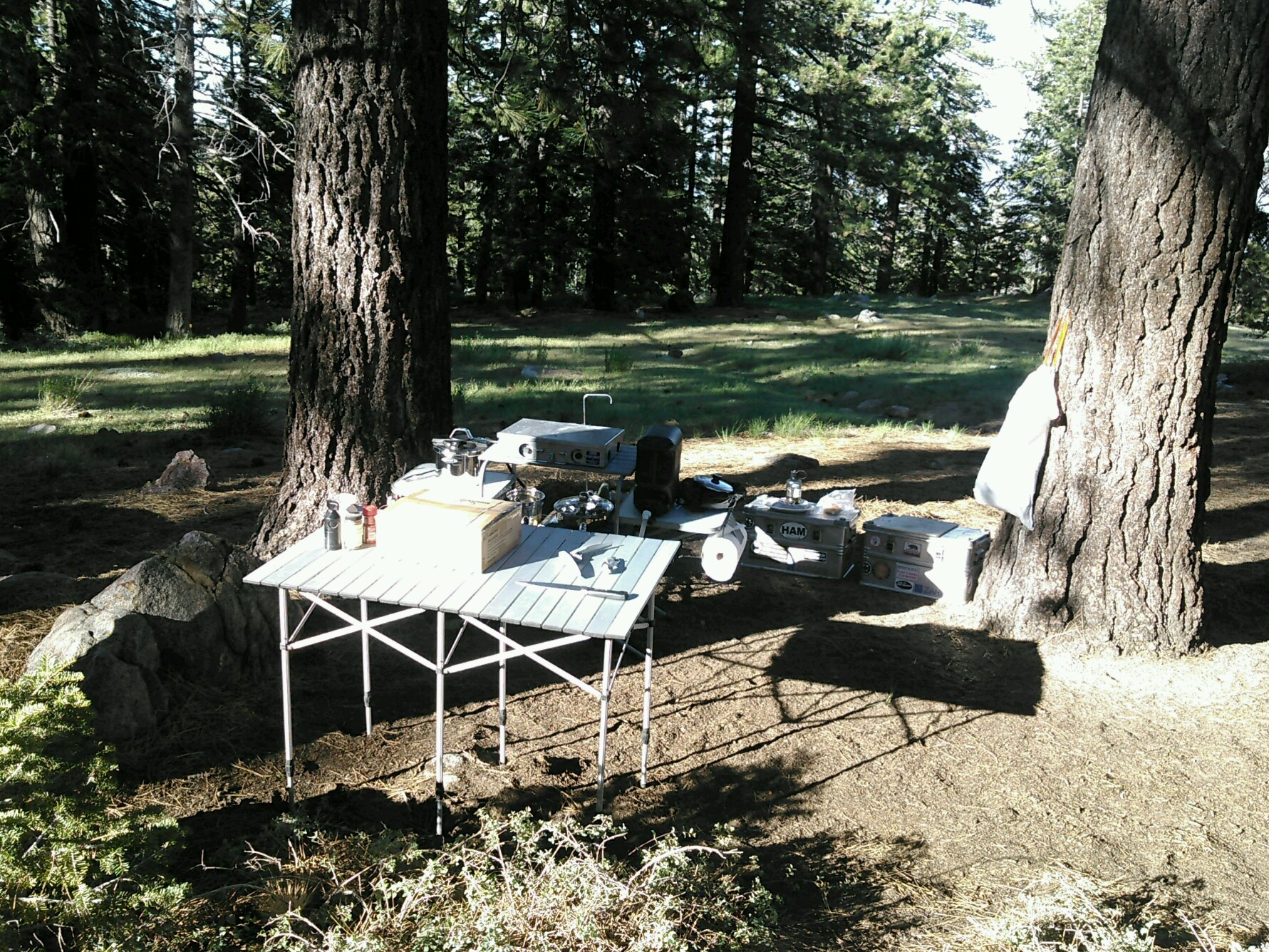 PART_1561572554919_Copy_KIMG0236.jpg