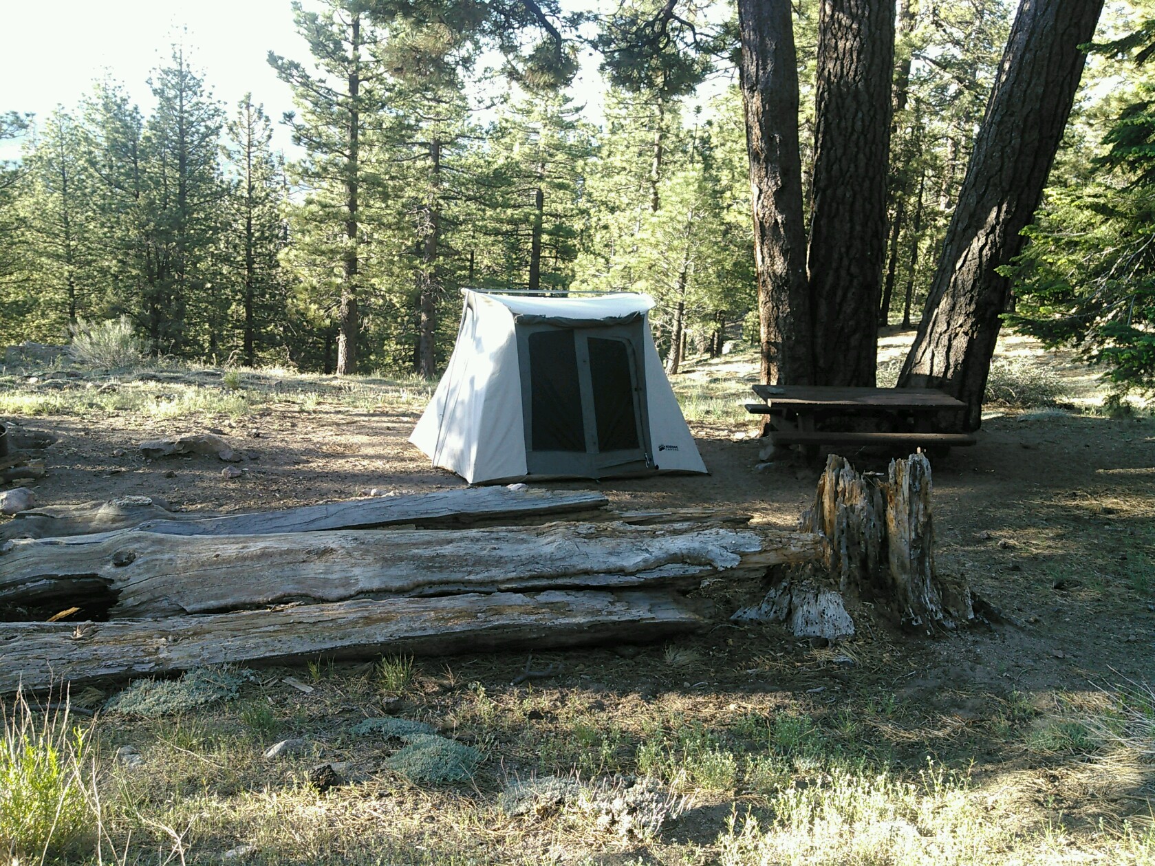 PART_1561660242570_Copy_KIMG0264.jpg