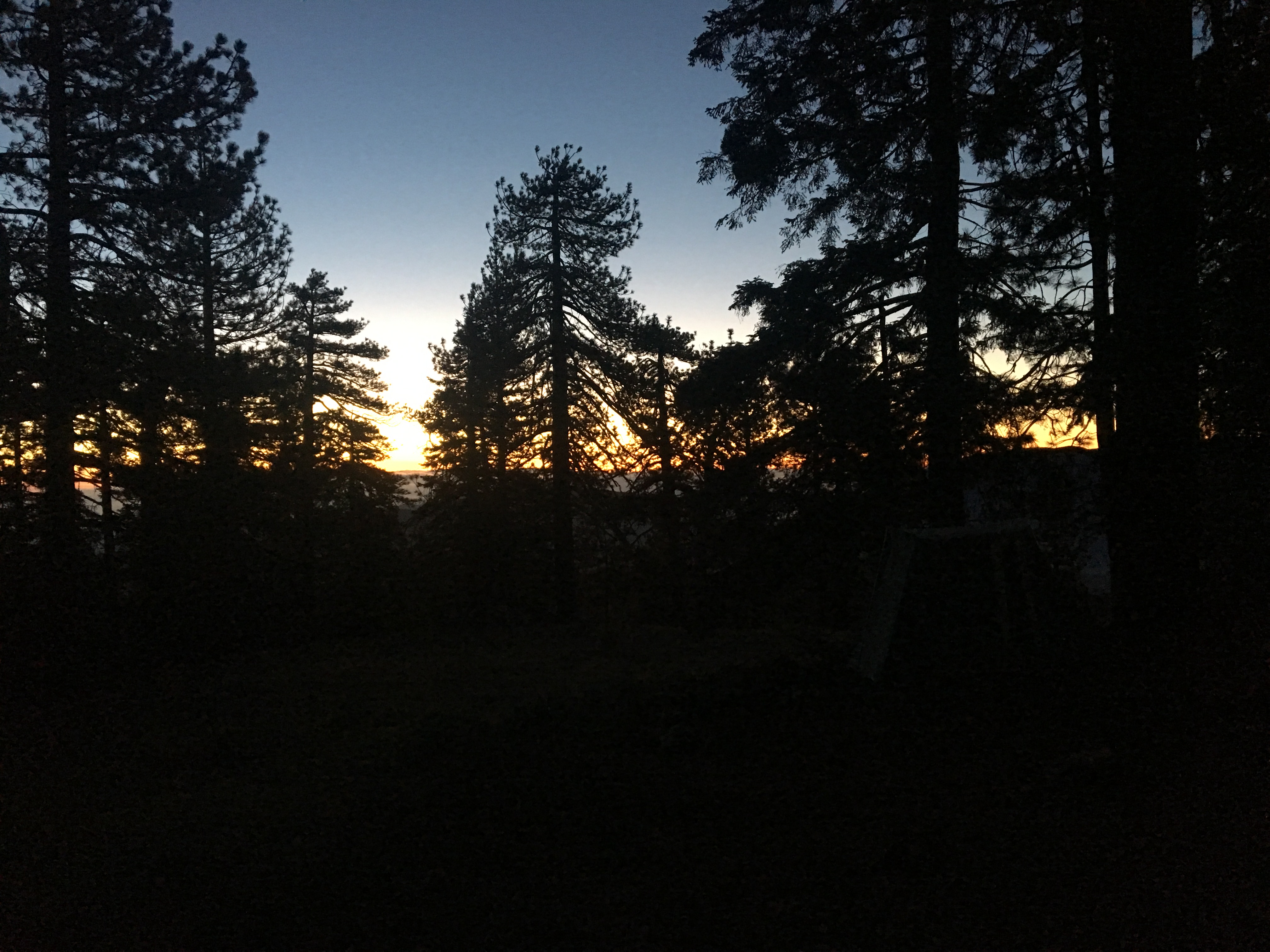 77E7B9F9-6E4B-488A-BDE8-ED86366D9FF3.jpeg