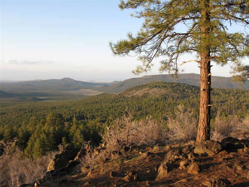 Mt. Logan