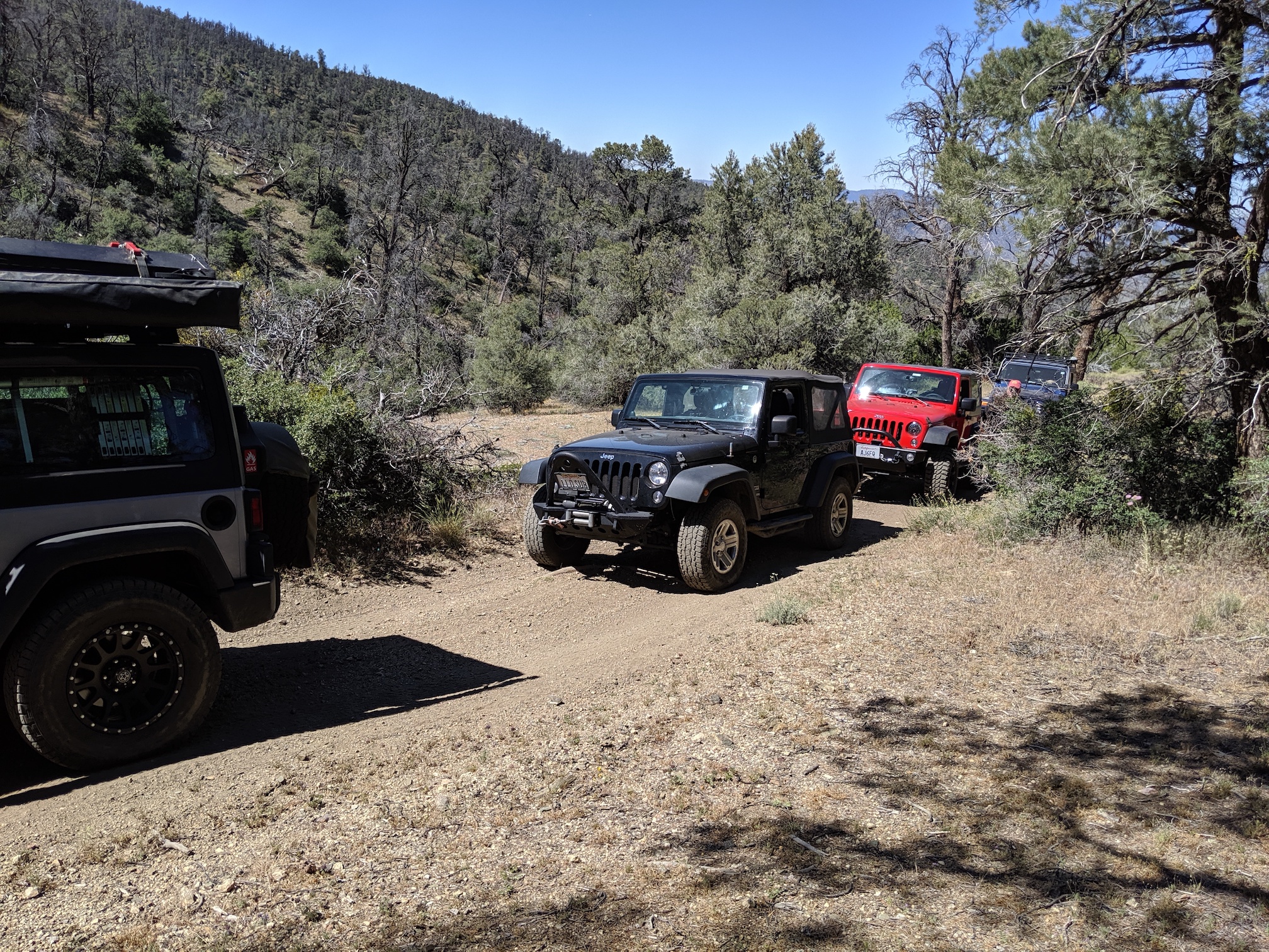 Saturday trail ride.