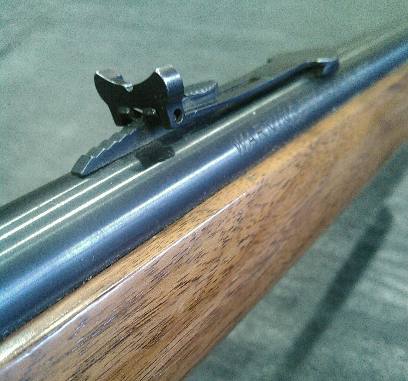 Iron Rear Sight.jpg