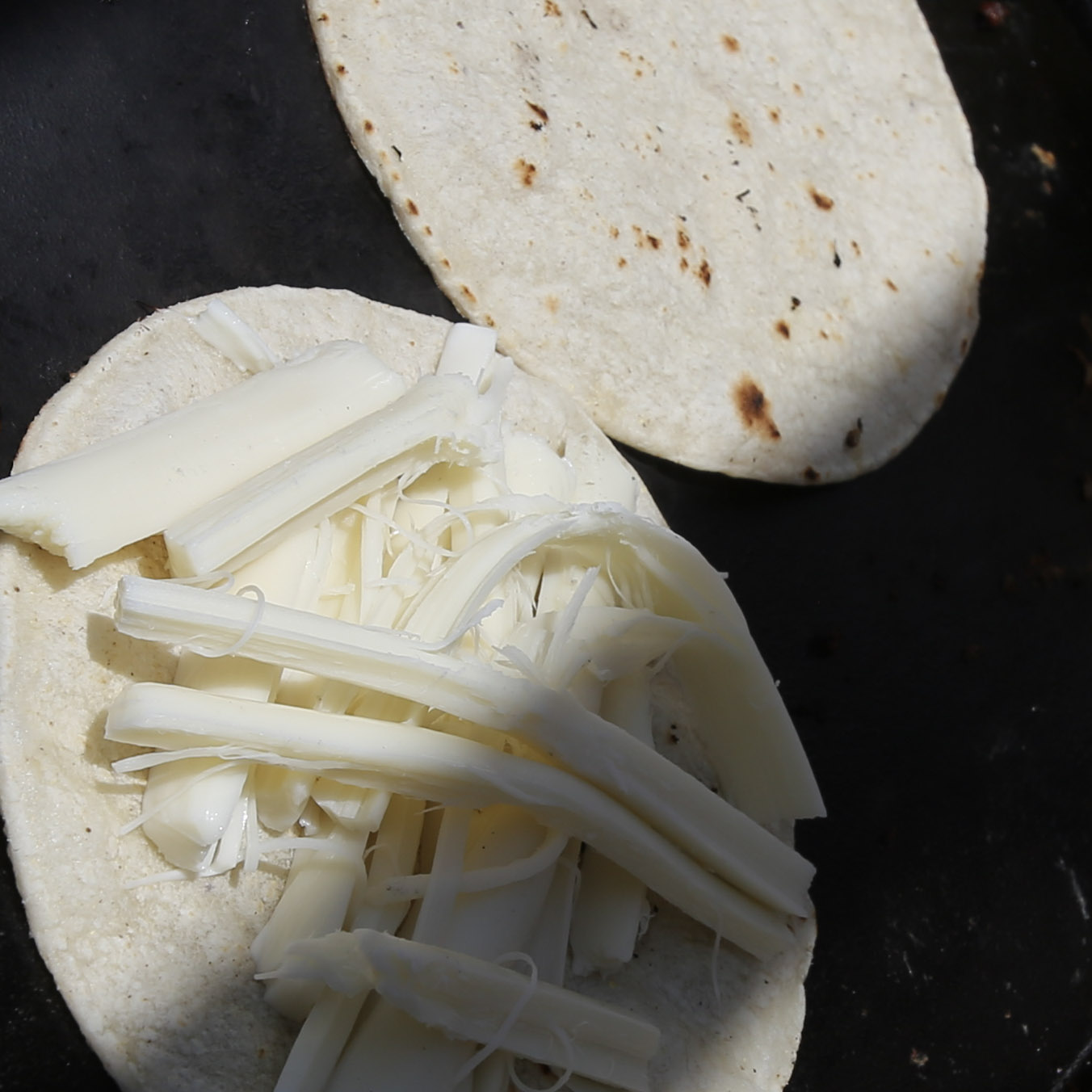 Cheese Quesadilla