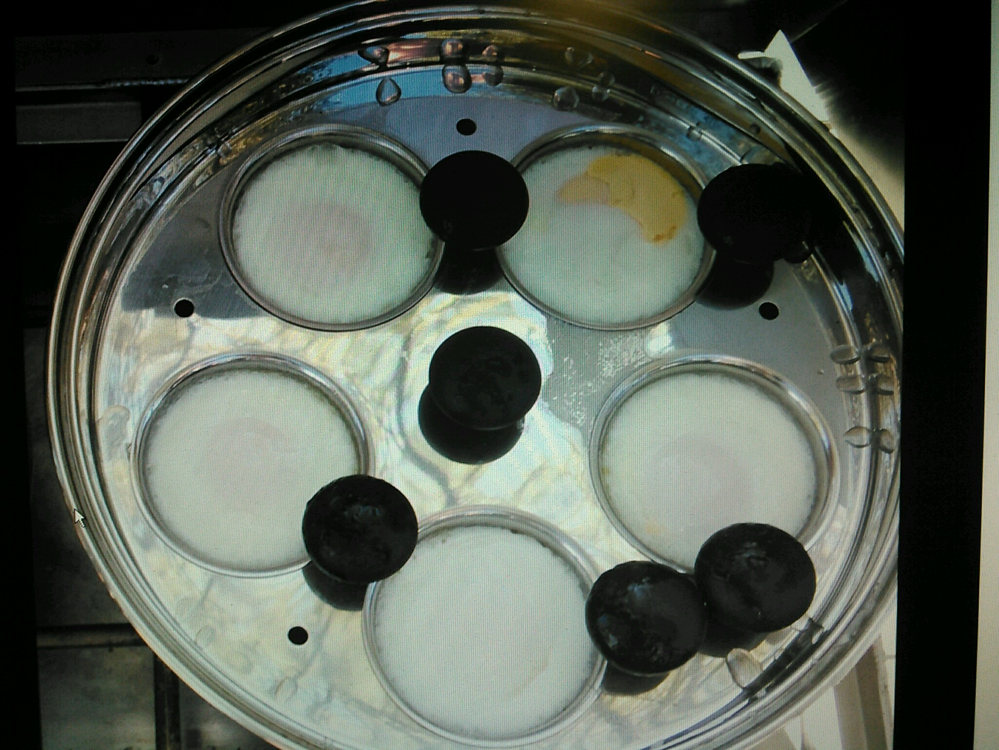 Egg Poacher-5.jpg