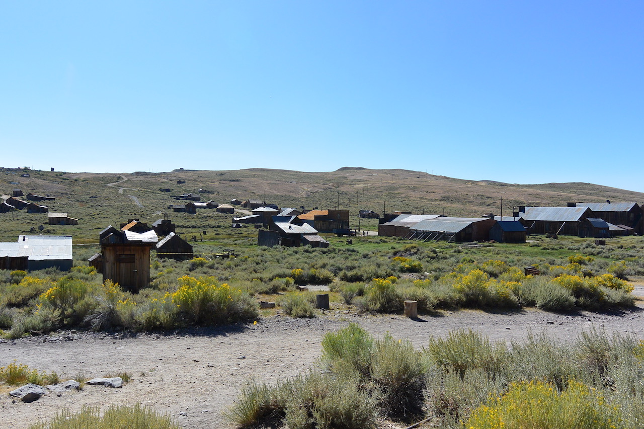 DSC_1342.jpg
