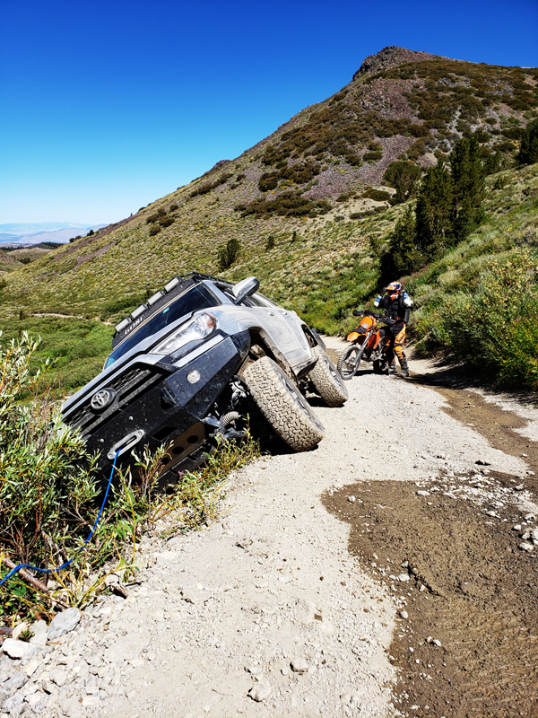 Shelf Road Dangers - 600.jpg