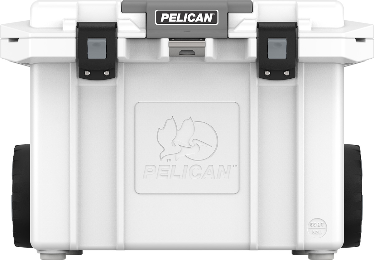 Pelican.jpg