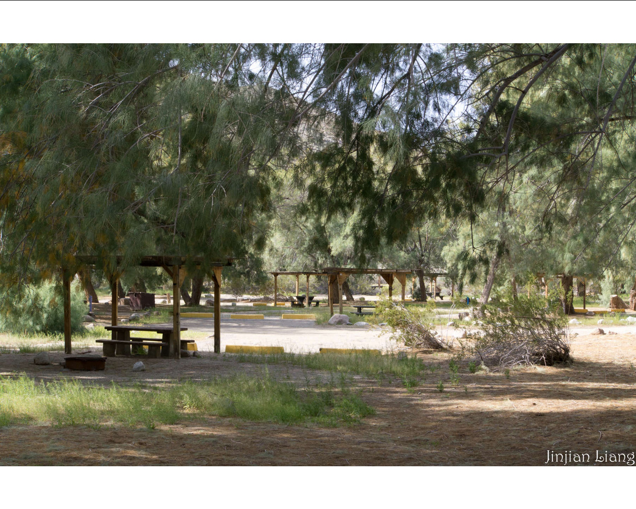 Tamarisk camp-1.jpg