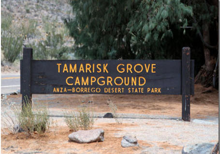 Tamarisk camp-2.jpg