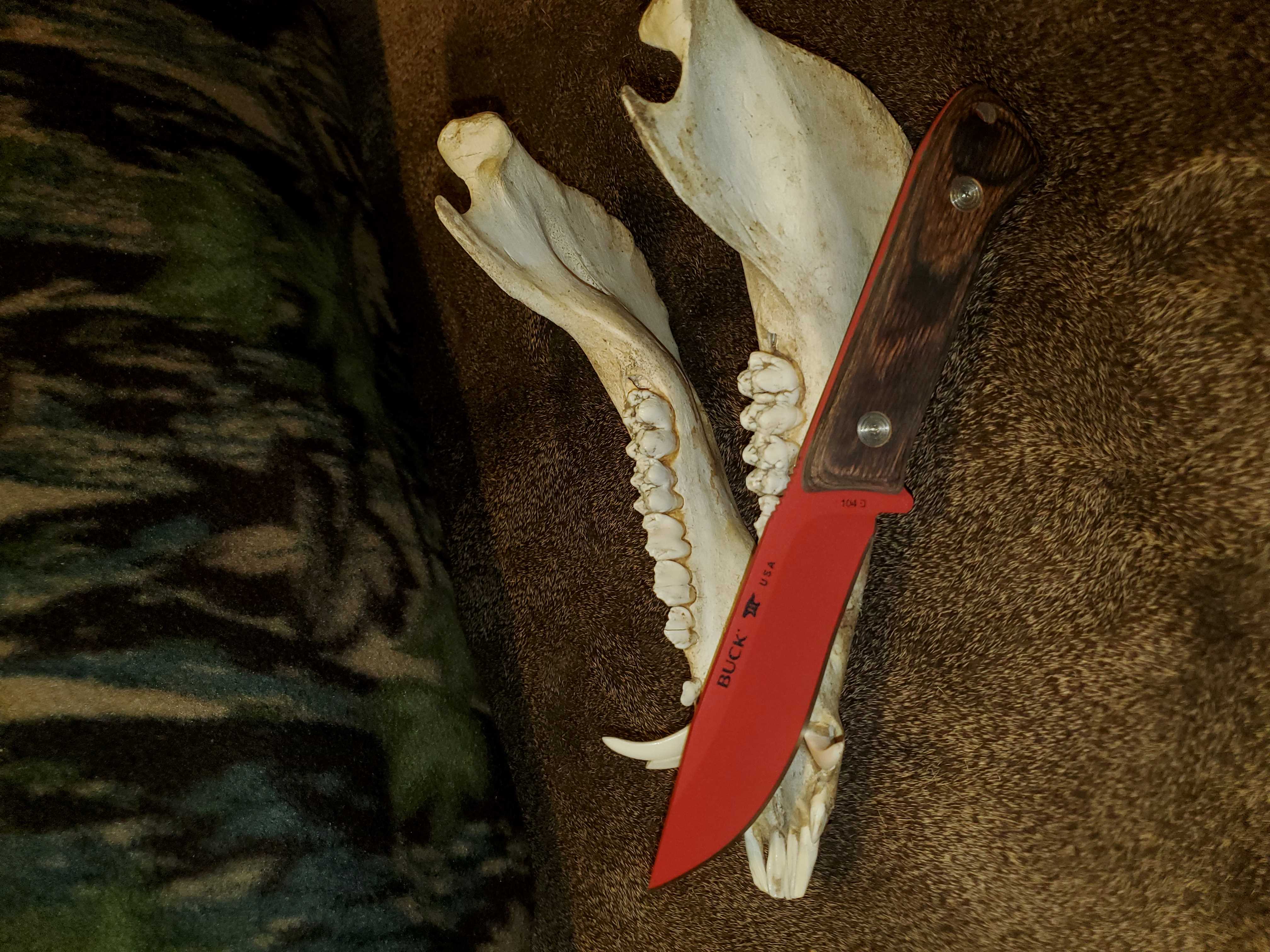 20190918_201808.jpg