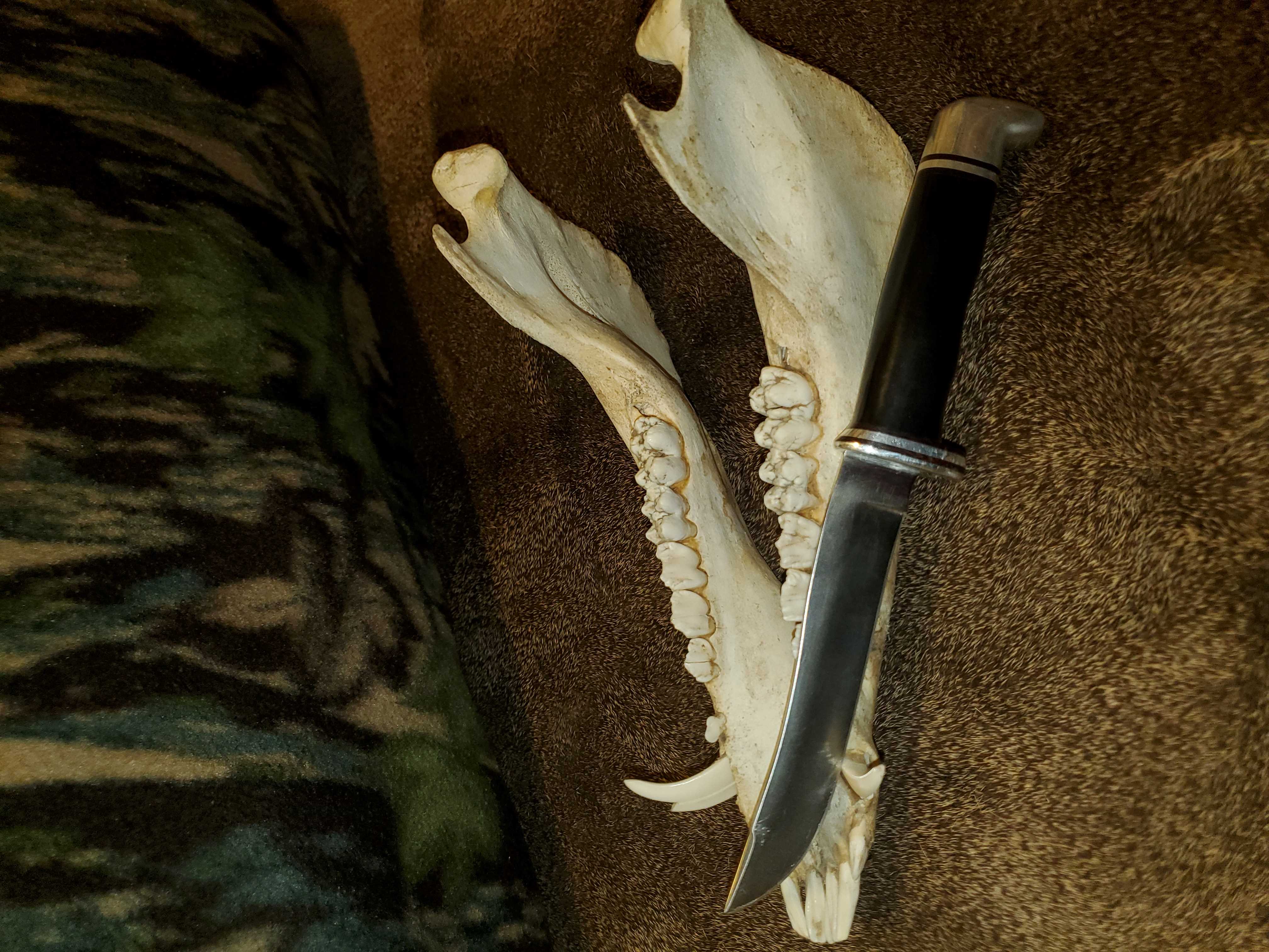 20190918_201829.jpg
