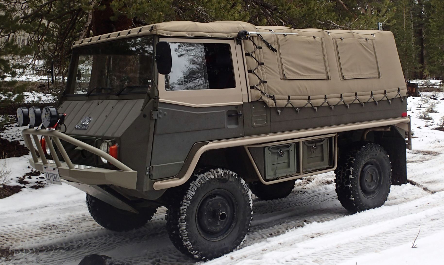 Pinzgauer Snow.JPG
