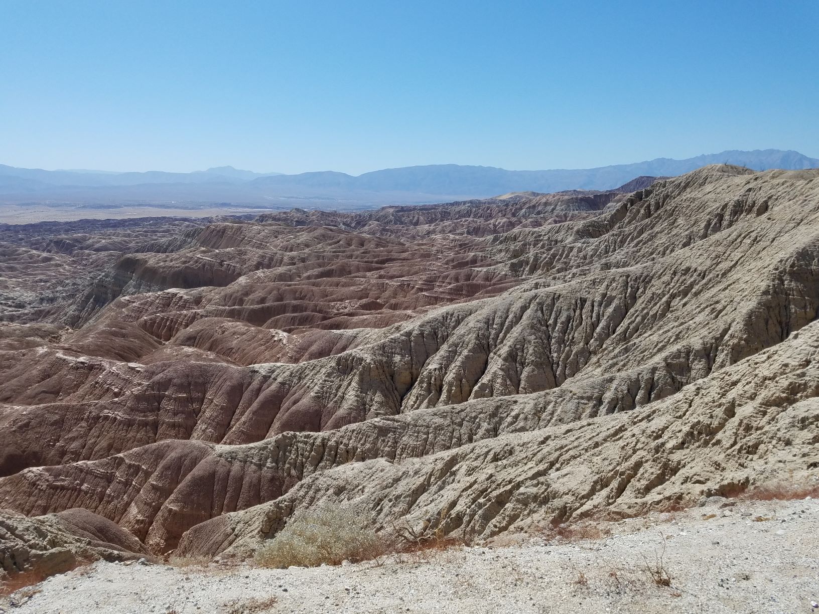 20191005_135415.jpg