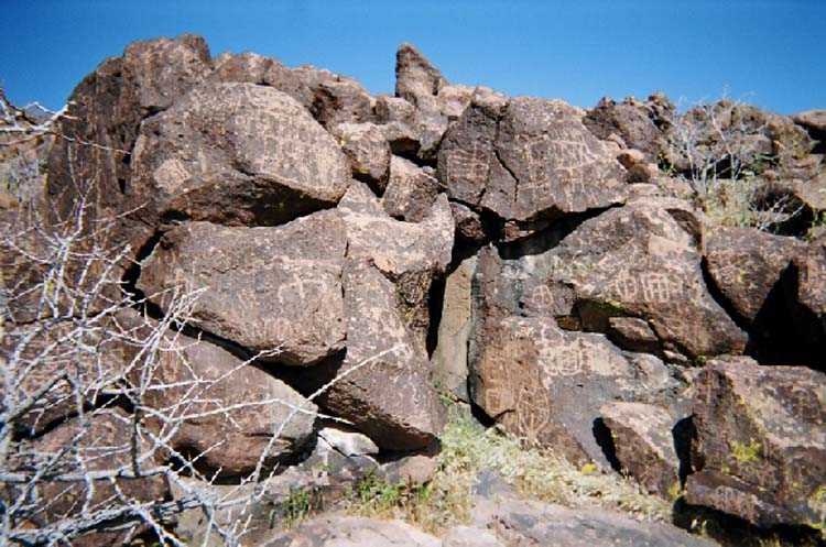 04720009.jpg