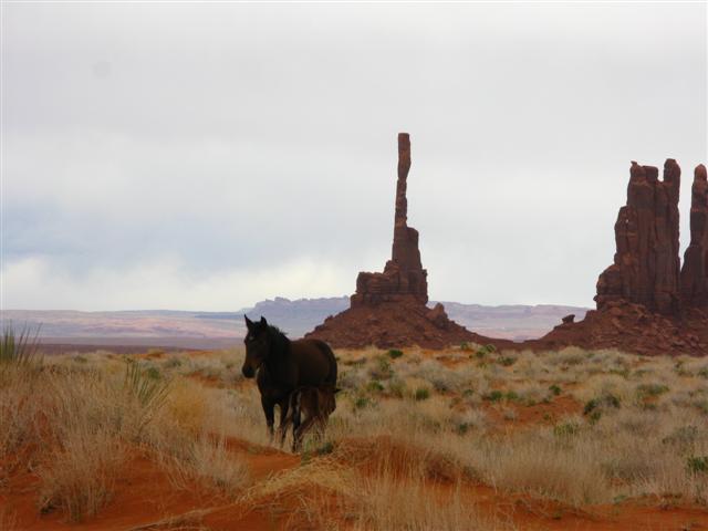 totem.JPG
