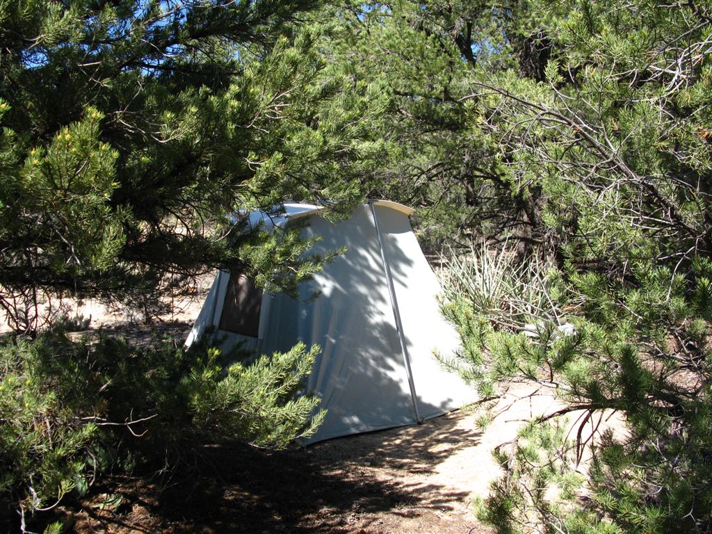 IMG_1024 (Large).JPG