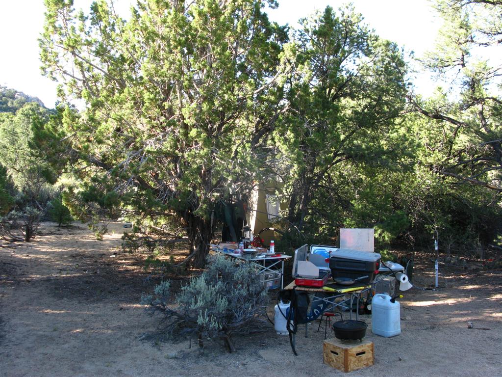 IMG_1063 (Large).JPG