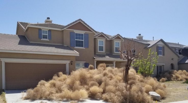 tumbleweed disaster.jpg