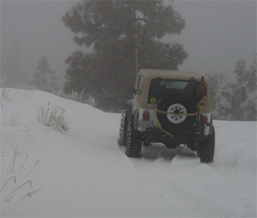 Snow4.jpg