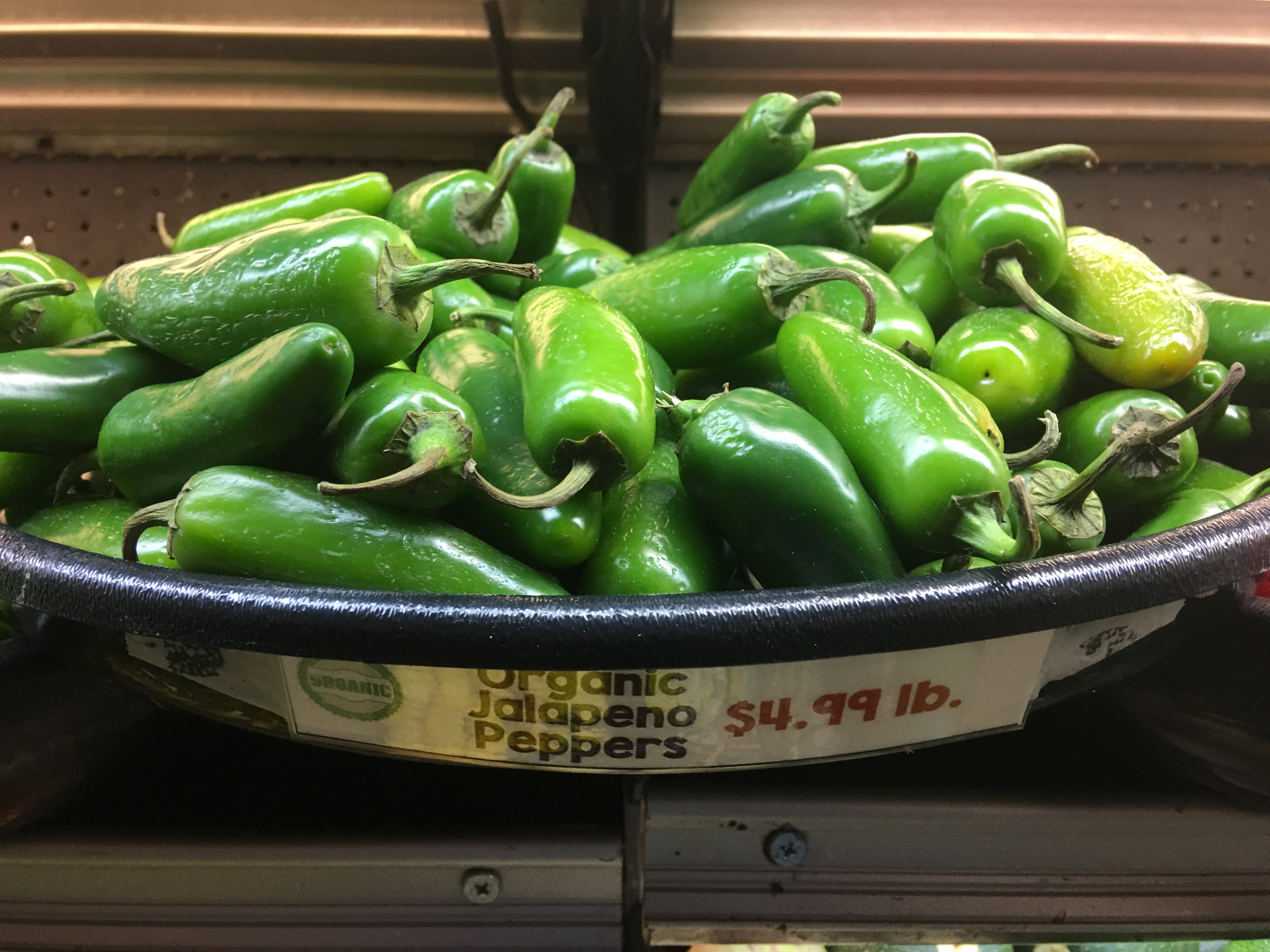 Jalepeno