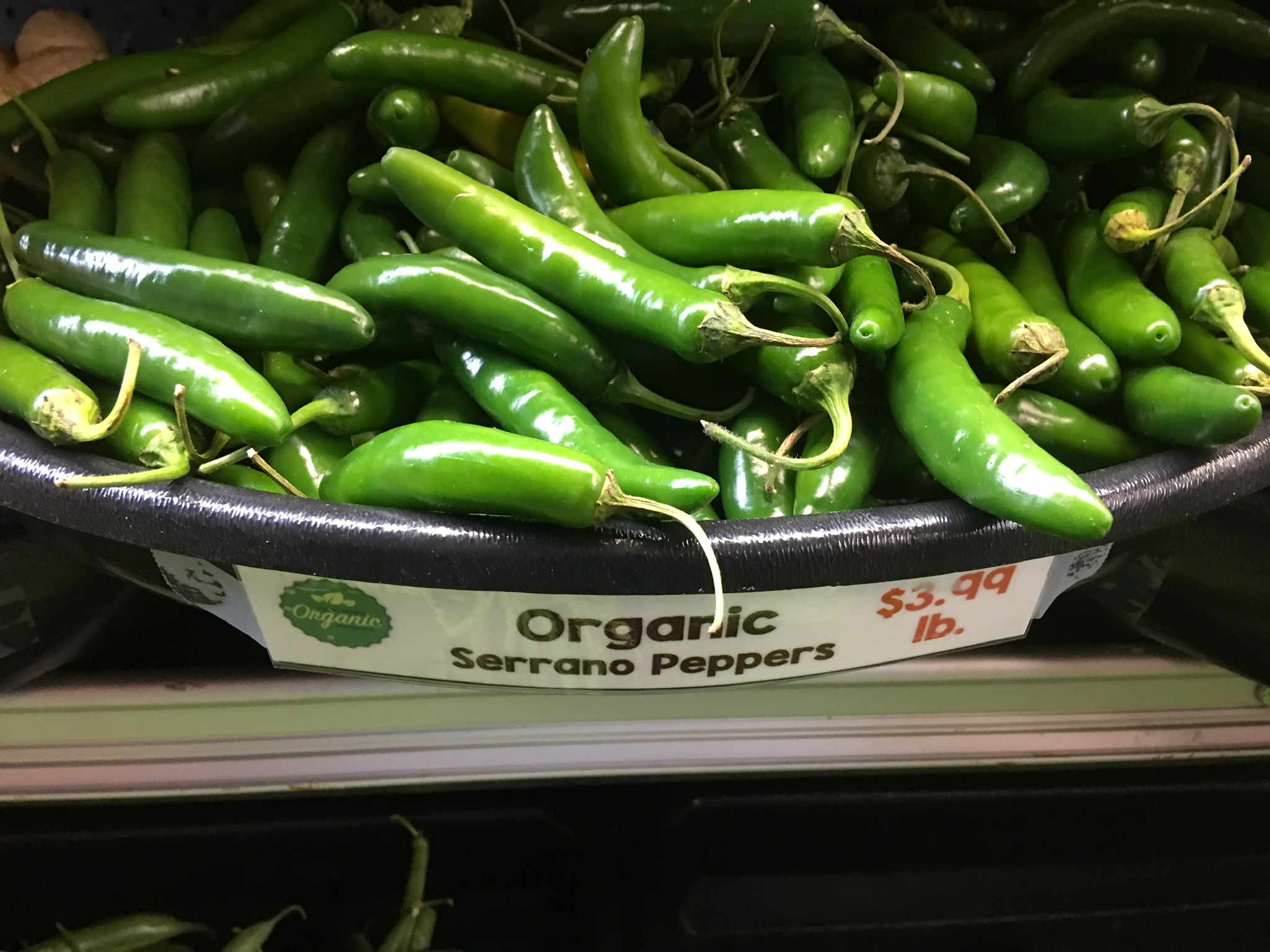 Serrano