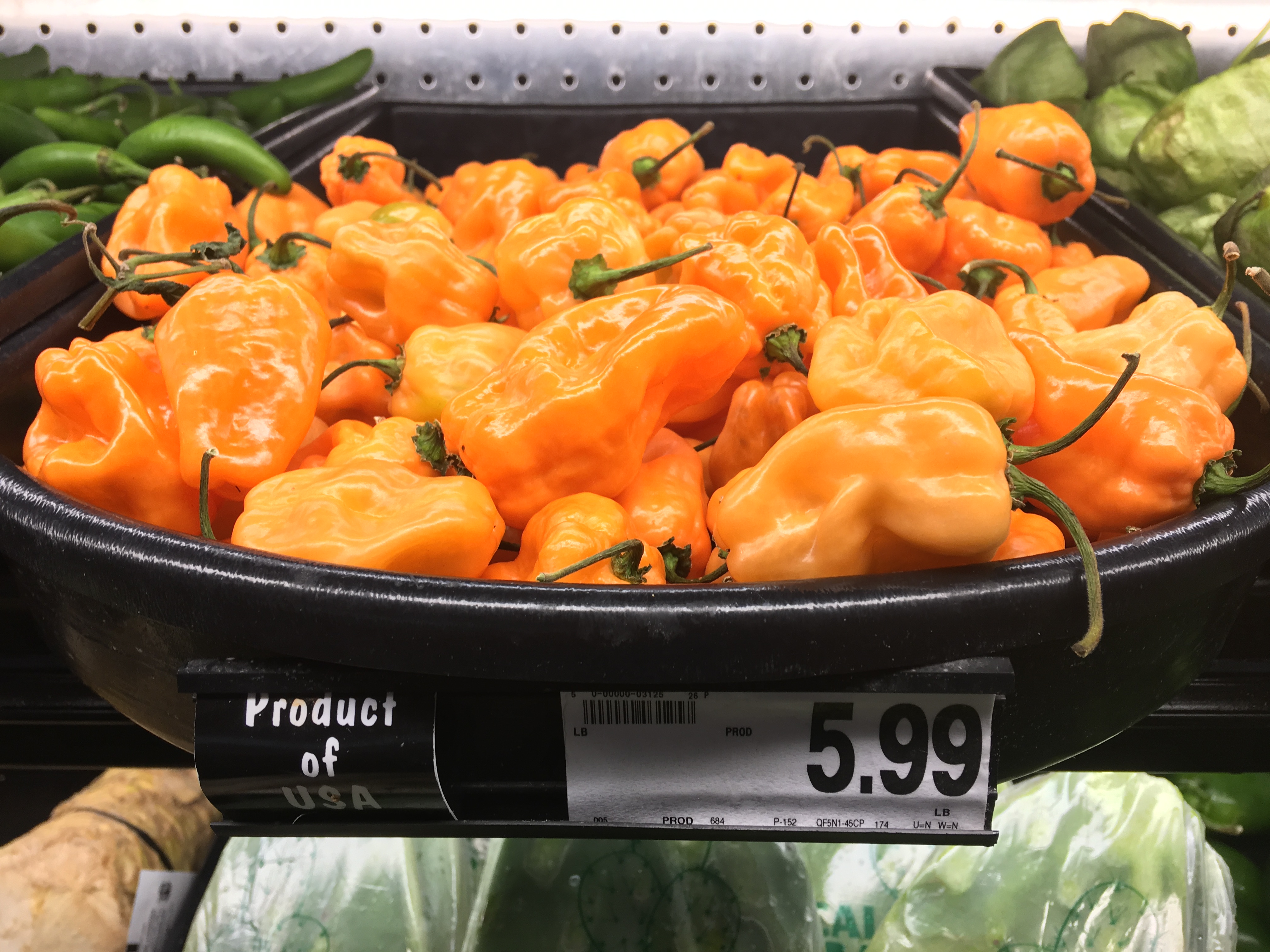 Habanero