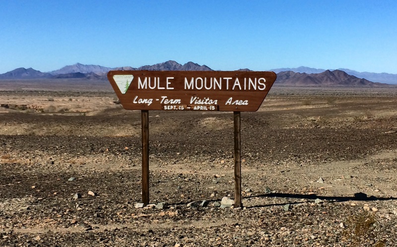 20170129 101820 Mule LTVA.jpg