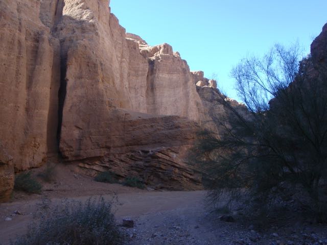 P1190041.jpg