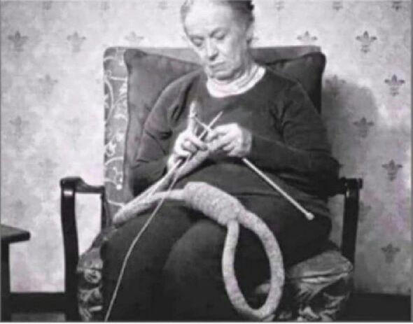 Gertrude's Special Gift.jpg
