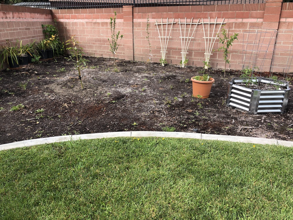 Garden 1.jpg