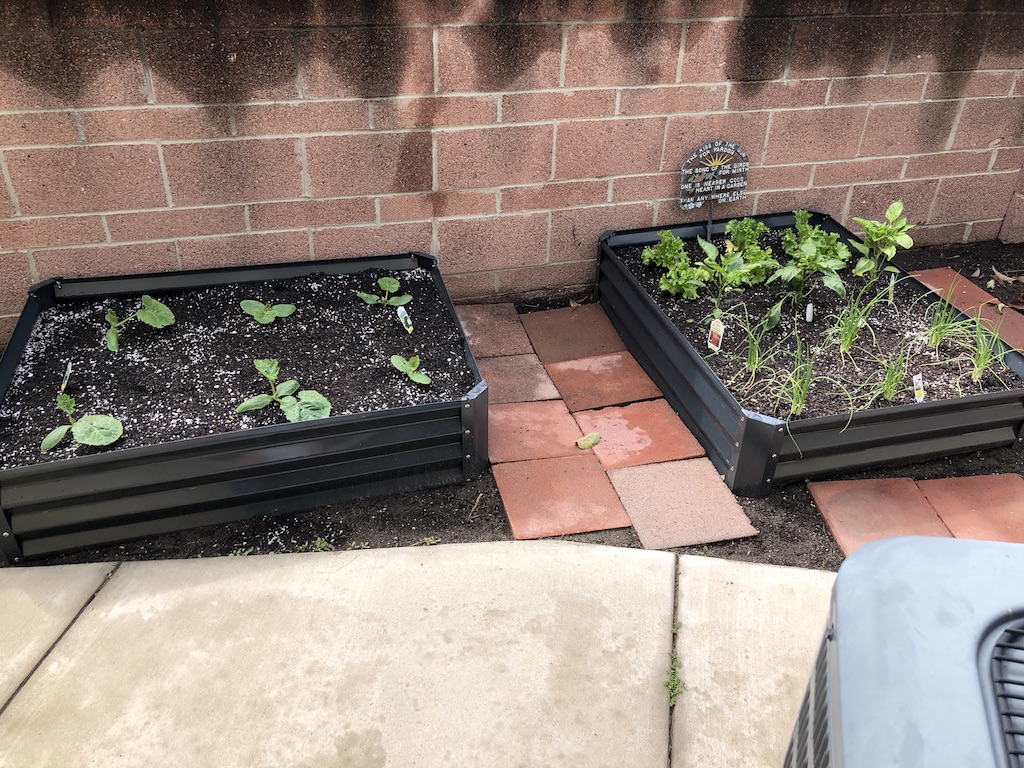 Garden 2.jpg