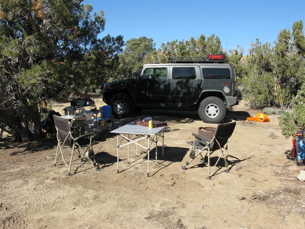 IMG_0107 (Large).JPG