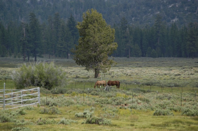 DSC_0026.JPG