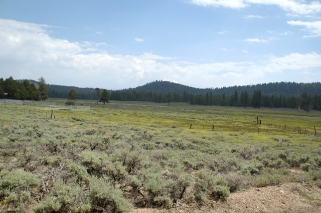DSC_0028.JPG