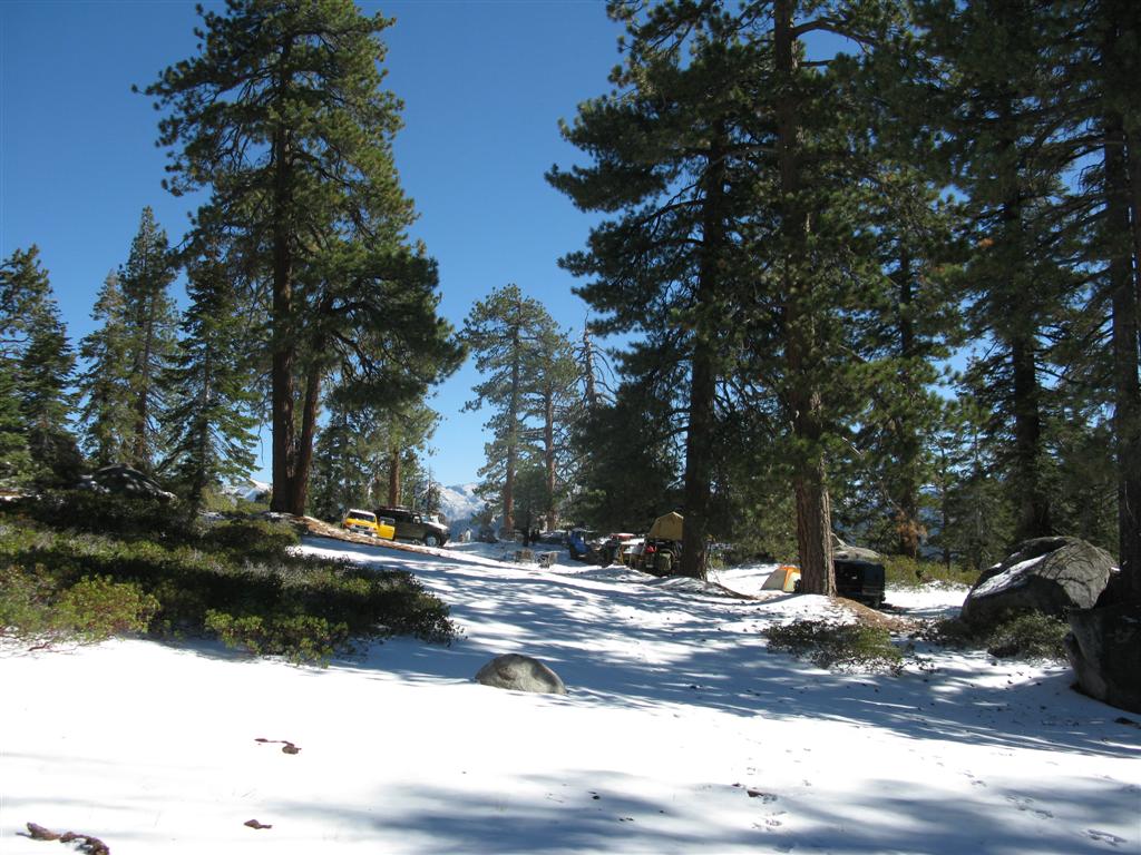 Snow-1.JPG