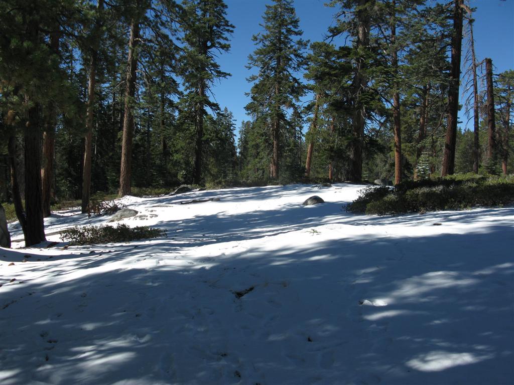 Snow-8.JPG