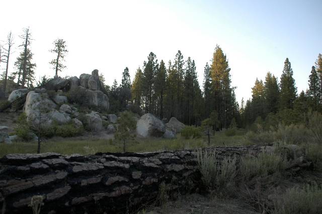 DSC_0081.JPG