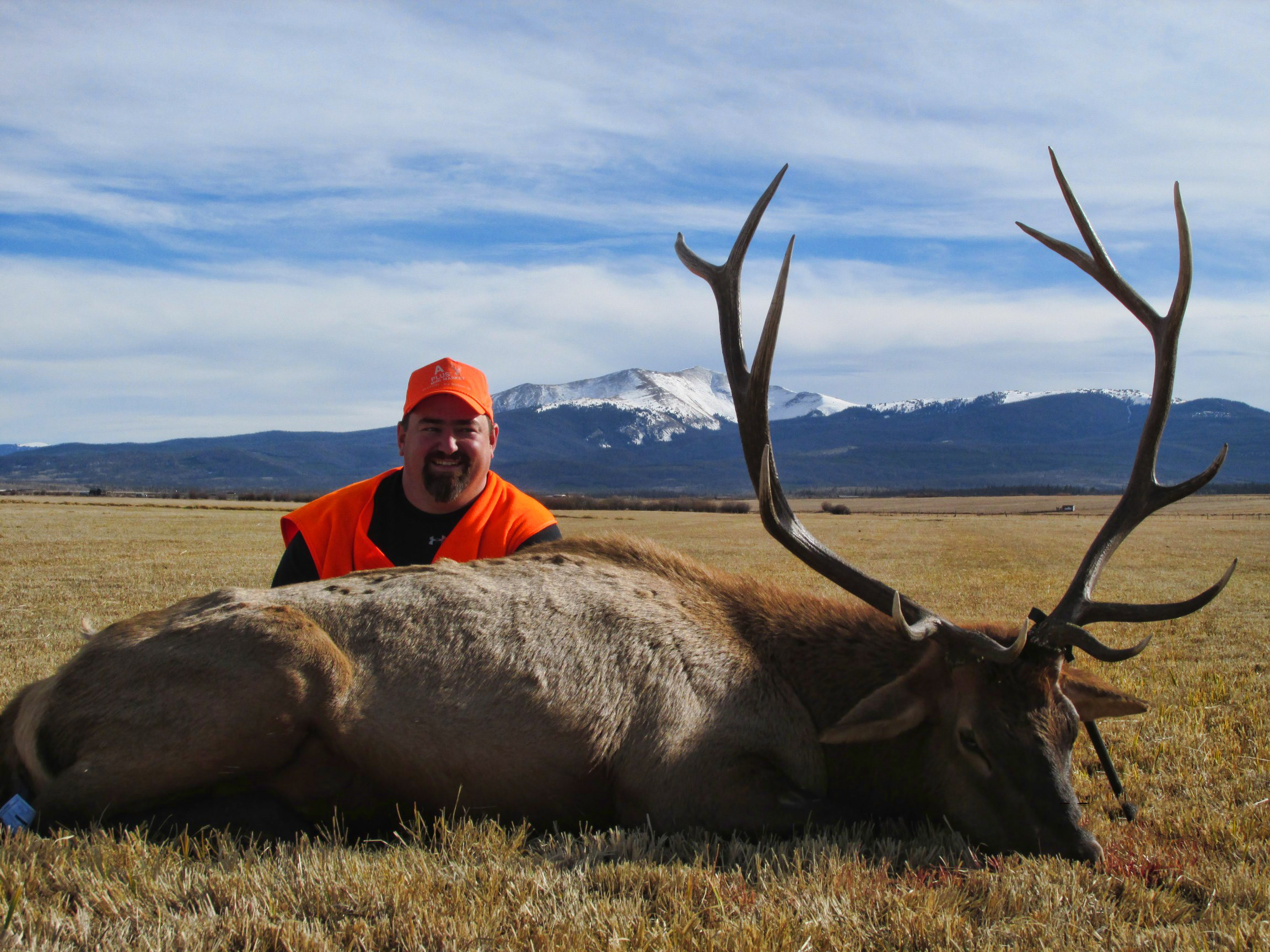 colorado-rocky-mountain-elk-11.jpg