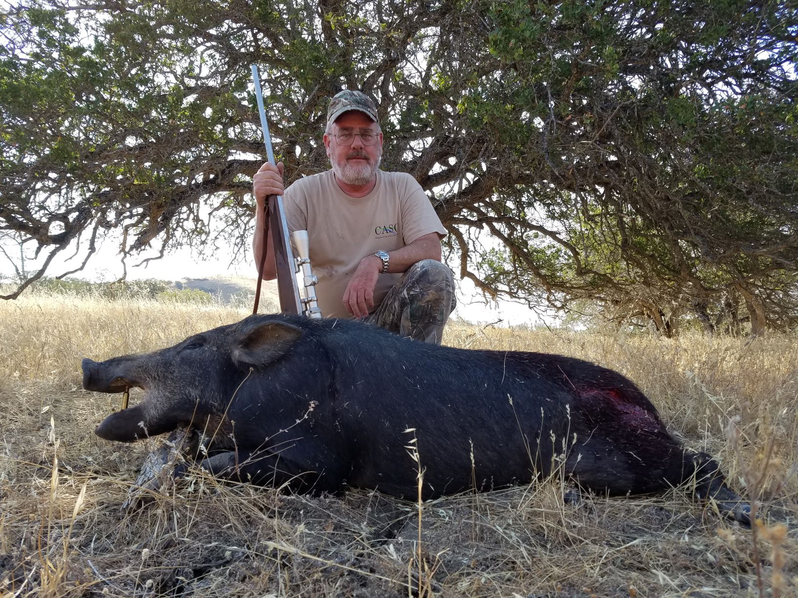 Wild Pig 2 - Copy.jpg