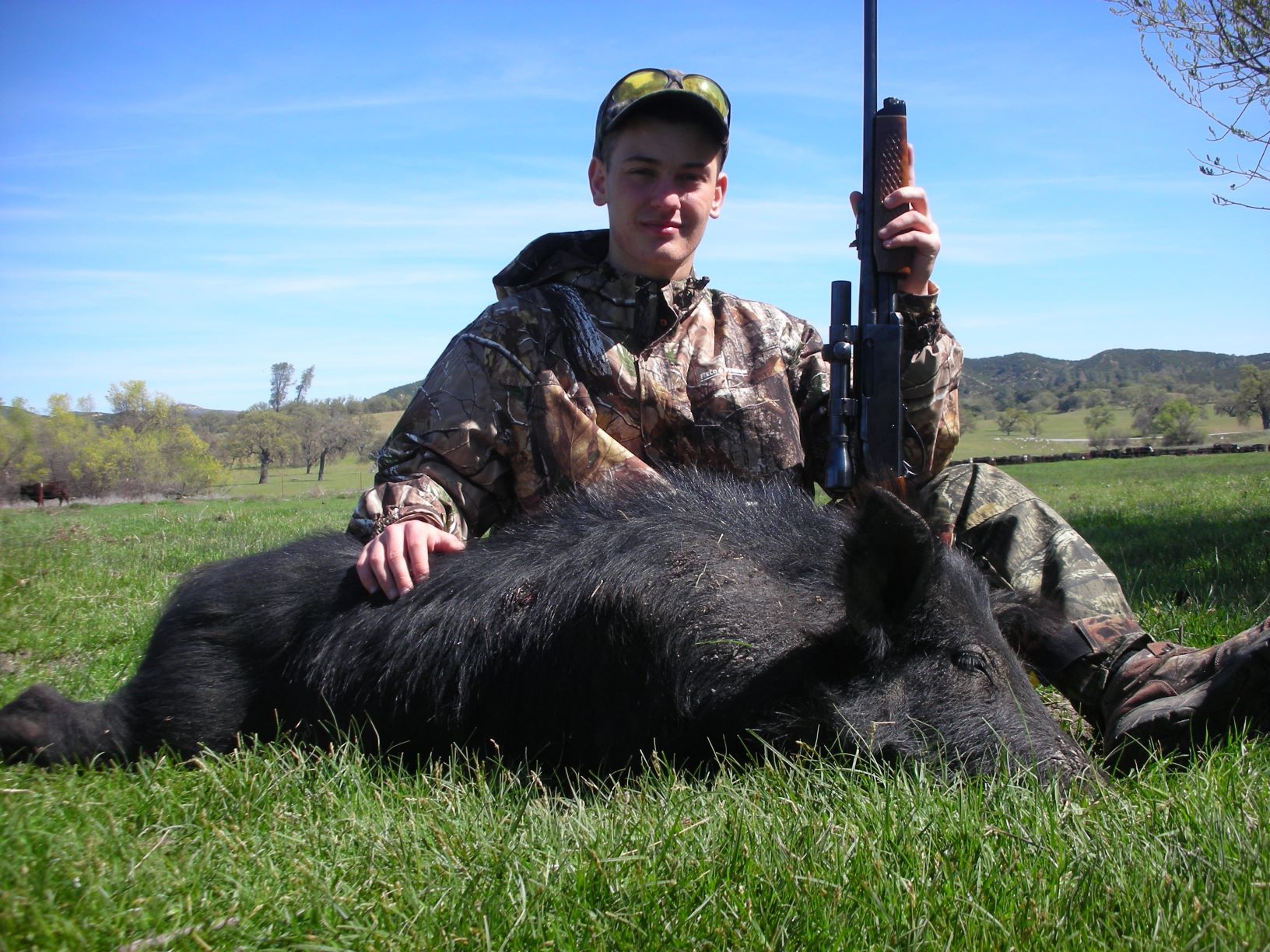 Wild Pig 3 - Copy.jpg