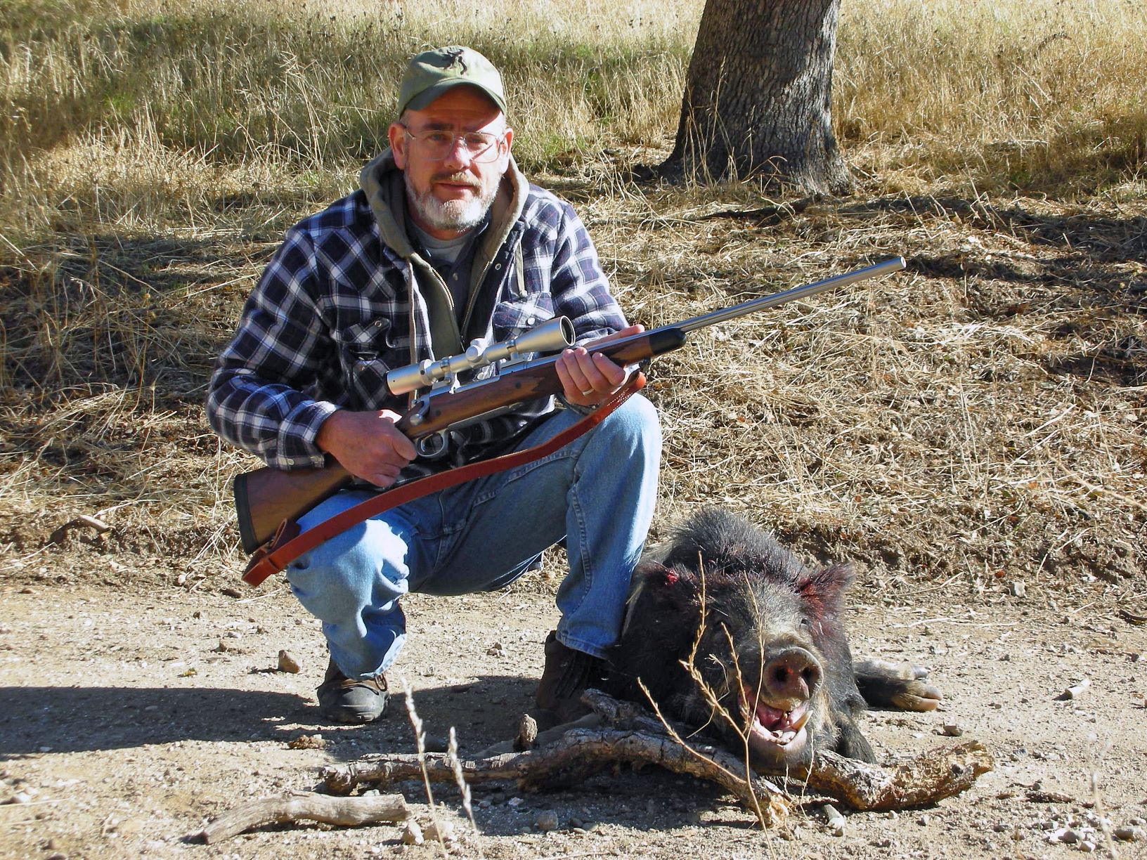 Wild Pig 4.jpg