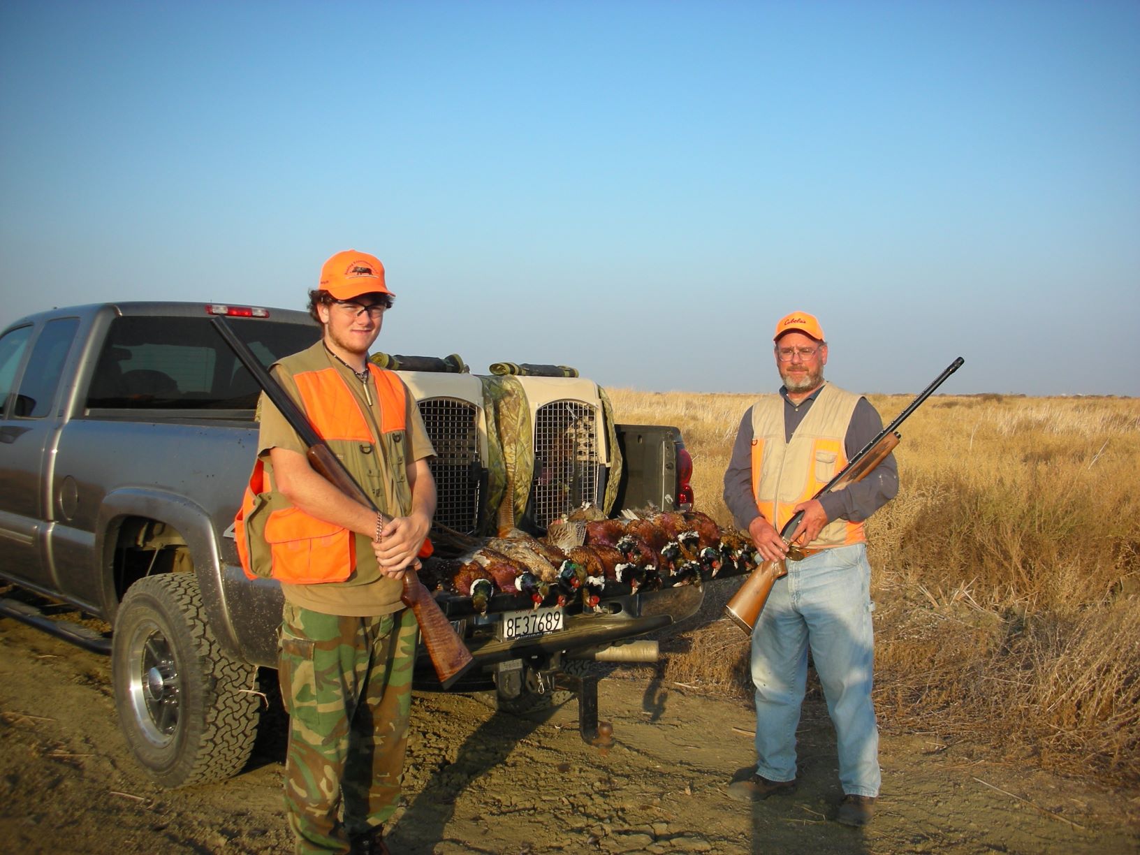 Pheasant - Copy.jpg
