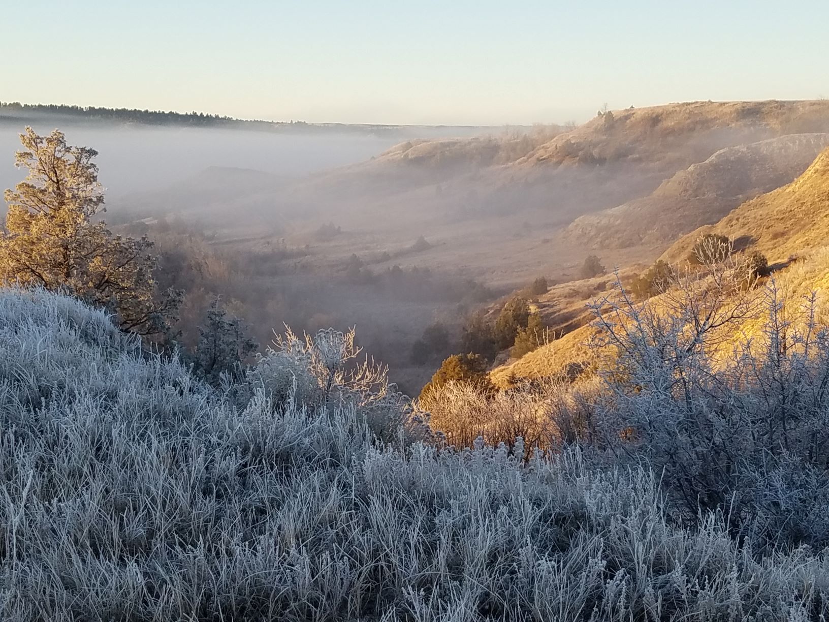 Frosty morning.jpg