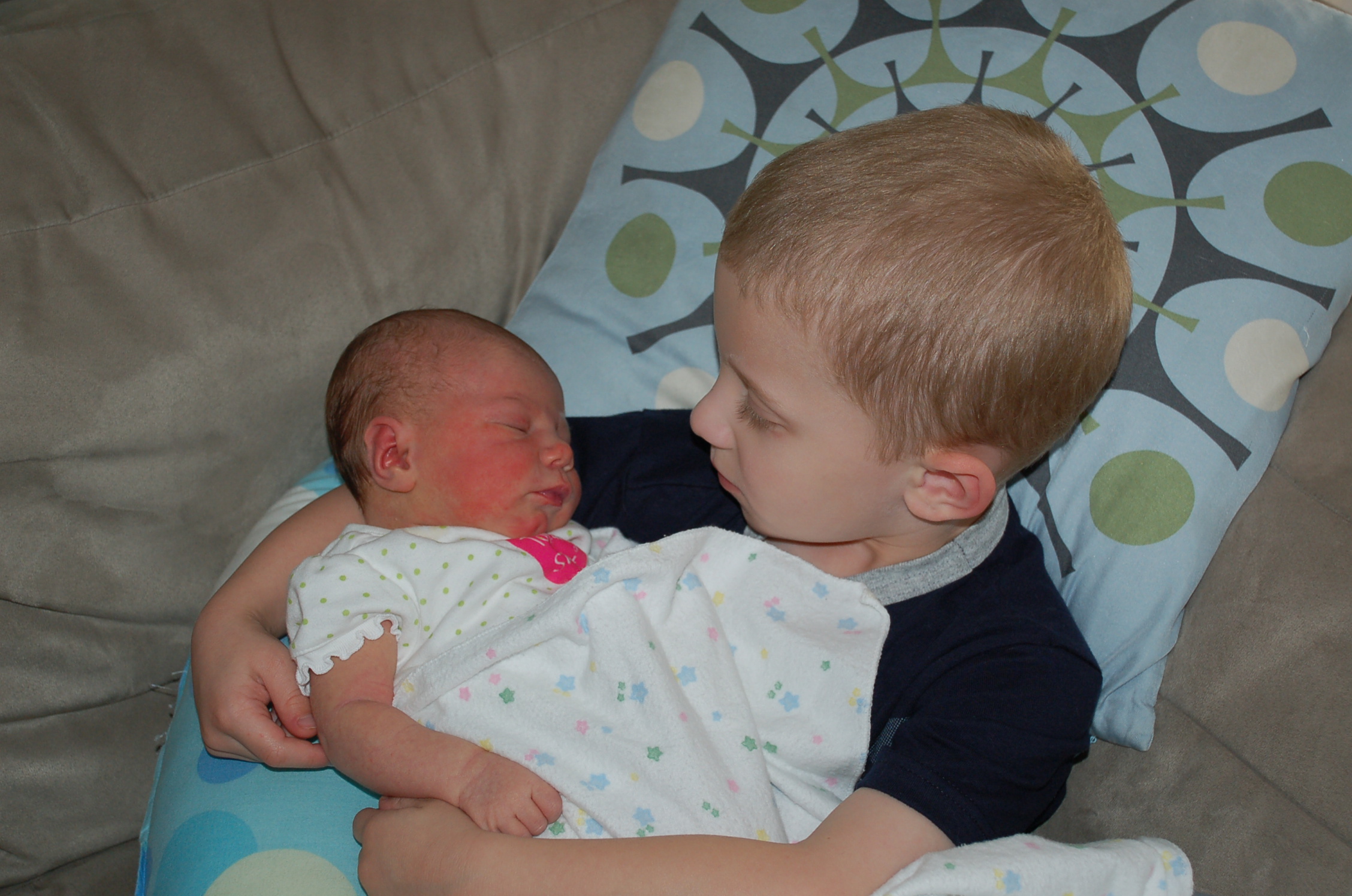 Ollie's Babies