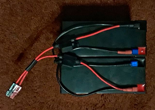 Two 9AH batteries in parallel.  I have since added a solar power input from a Renogy solar charge controller with LI capability.