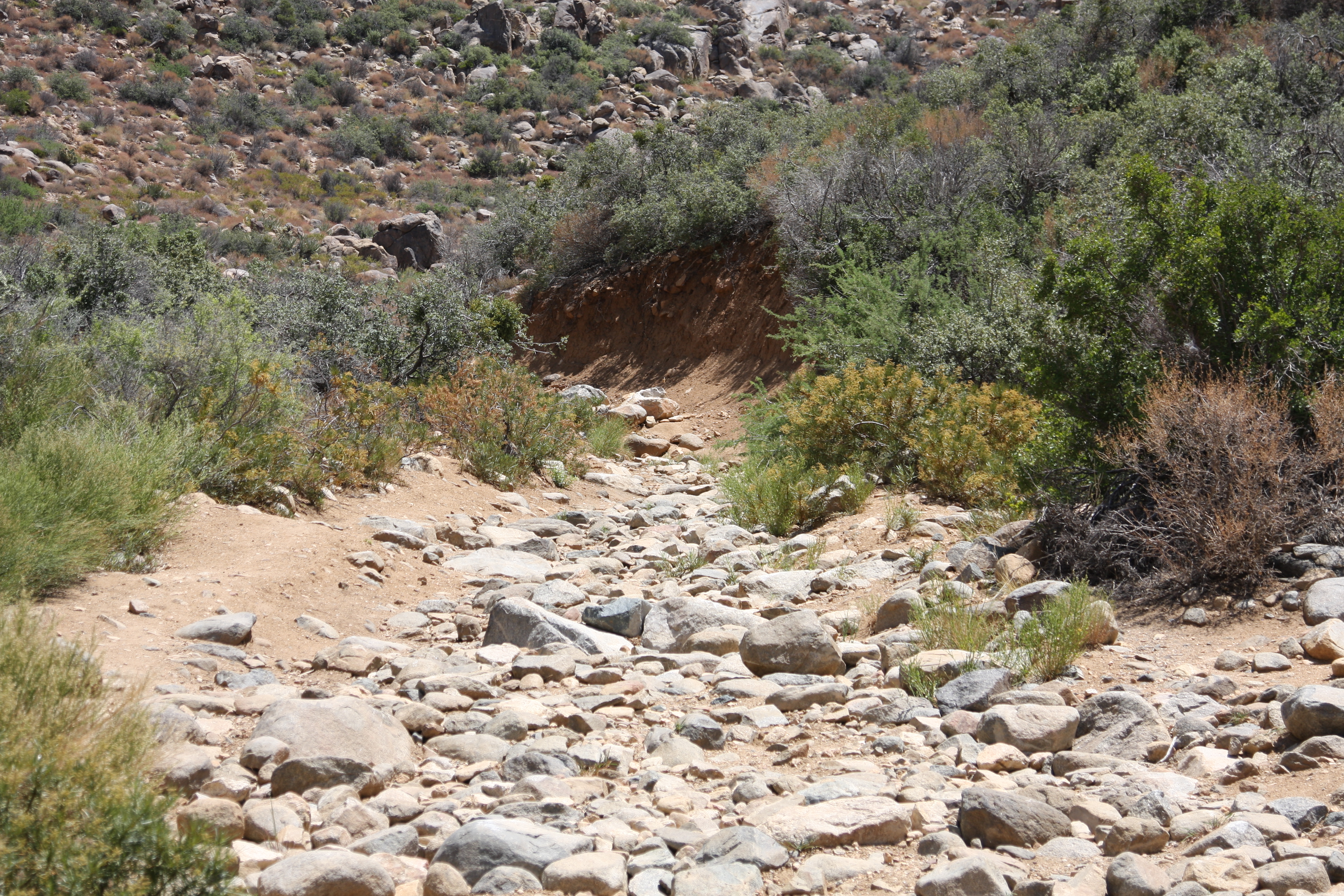 This is actually a steep uphill climb