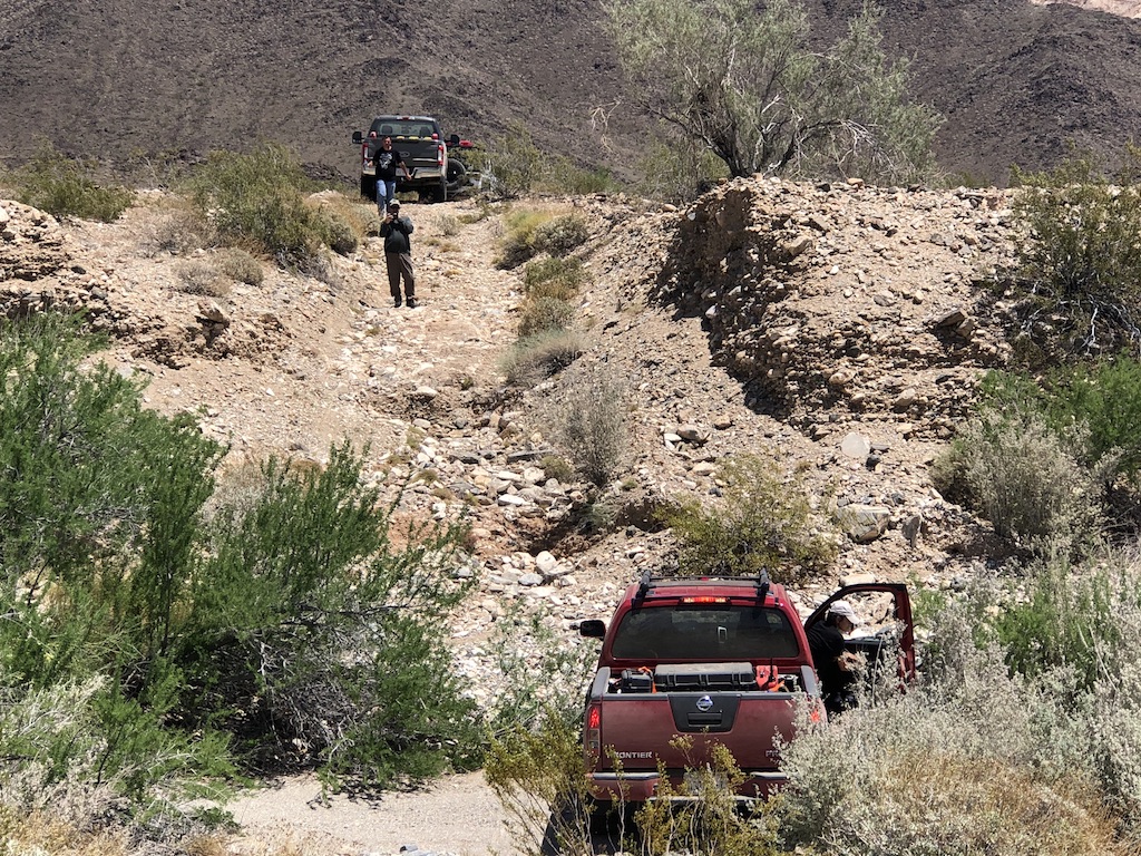 Trail 4.jpg