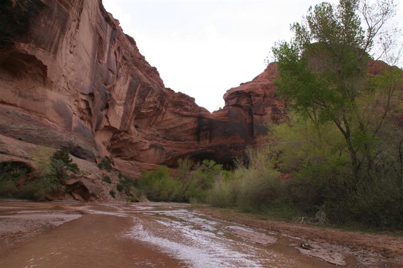 CANYON DE CHELLY #2 REBBEL XT 079 (Medium).jpg